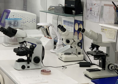 varios microscopios de laboratorio en Madrid