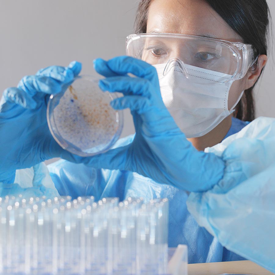 Investigadora en laboratorio analizando las manifestaciones de la candidiasis