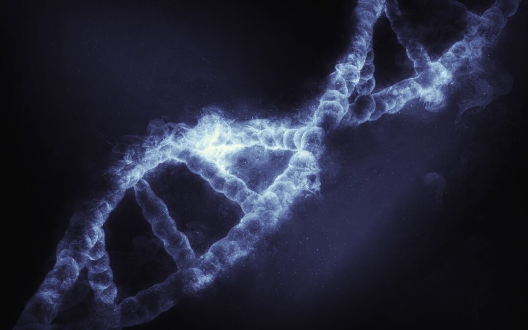 Prueba de Paternidad Prenatal NO Invasiva